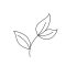 illustration-of-leaf-line-art-free-vector illustration-of-leaf-line-art-free-vector